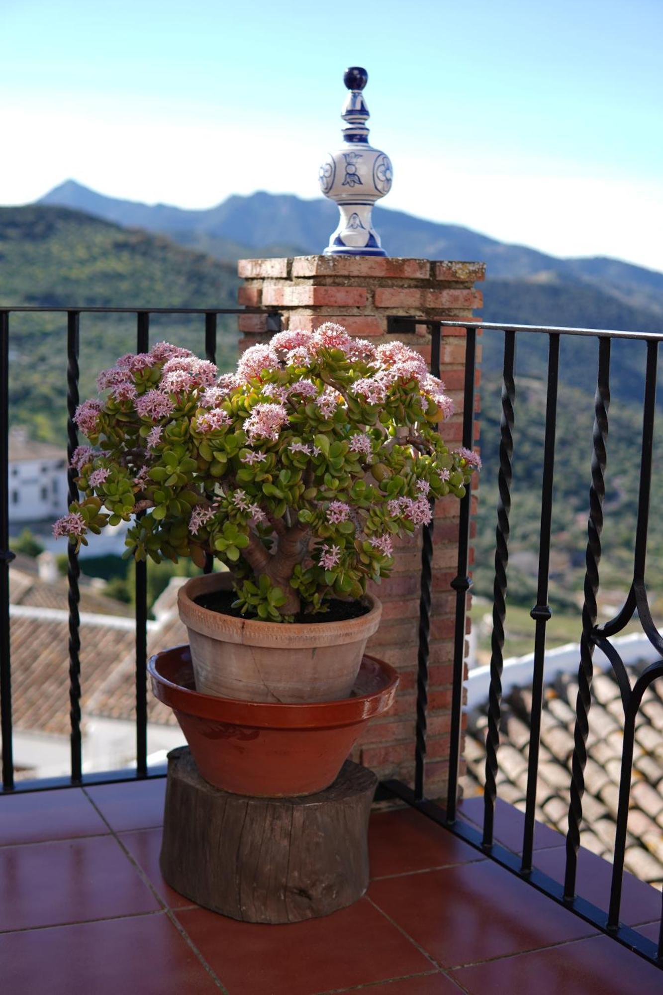 Mirador Del Farmaceutico Villa Zahara De La Sierra Exterior photo